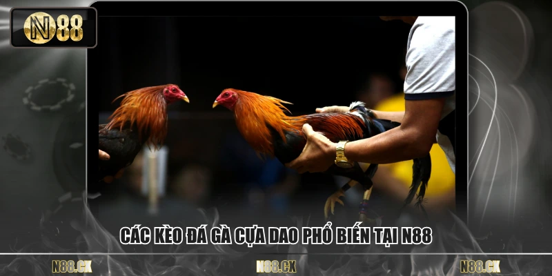 Các kèo đá gà cựa dao phổ biến tại N88