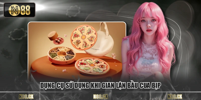 Dụng cụ sử dụng khi gian lận bầu cua bịp