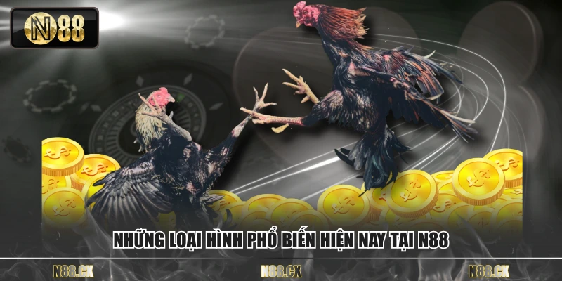 Những loại hình phổ biến hiện nay tại N88