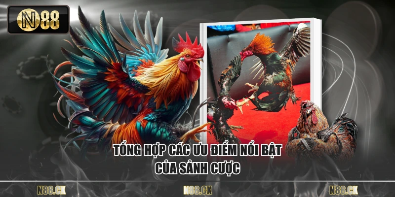 Tổng hợp các ưu điểm nổi bật của sảnh cược