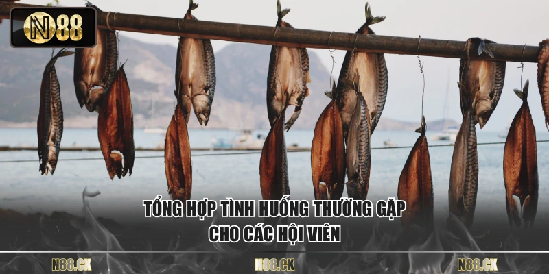 Tổng hợp tình huống thường gặp cho các hội viên